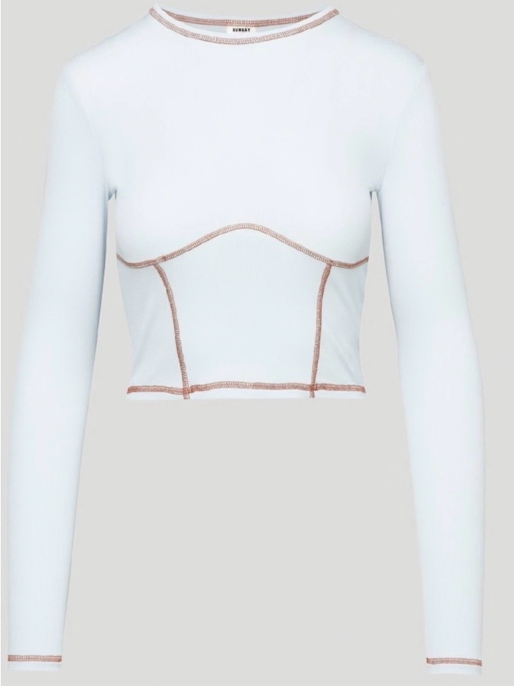Aritzia Sunday Best Dove White Long-Sleeve Crop Top